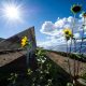 energía solar autosustentable